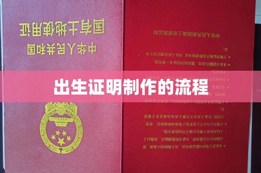 五常出生证明制作的流程